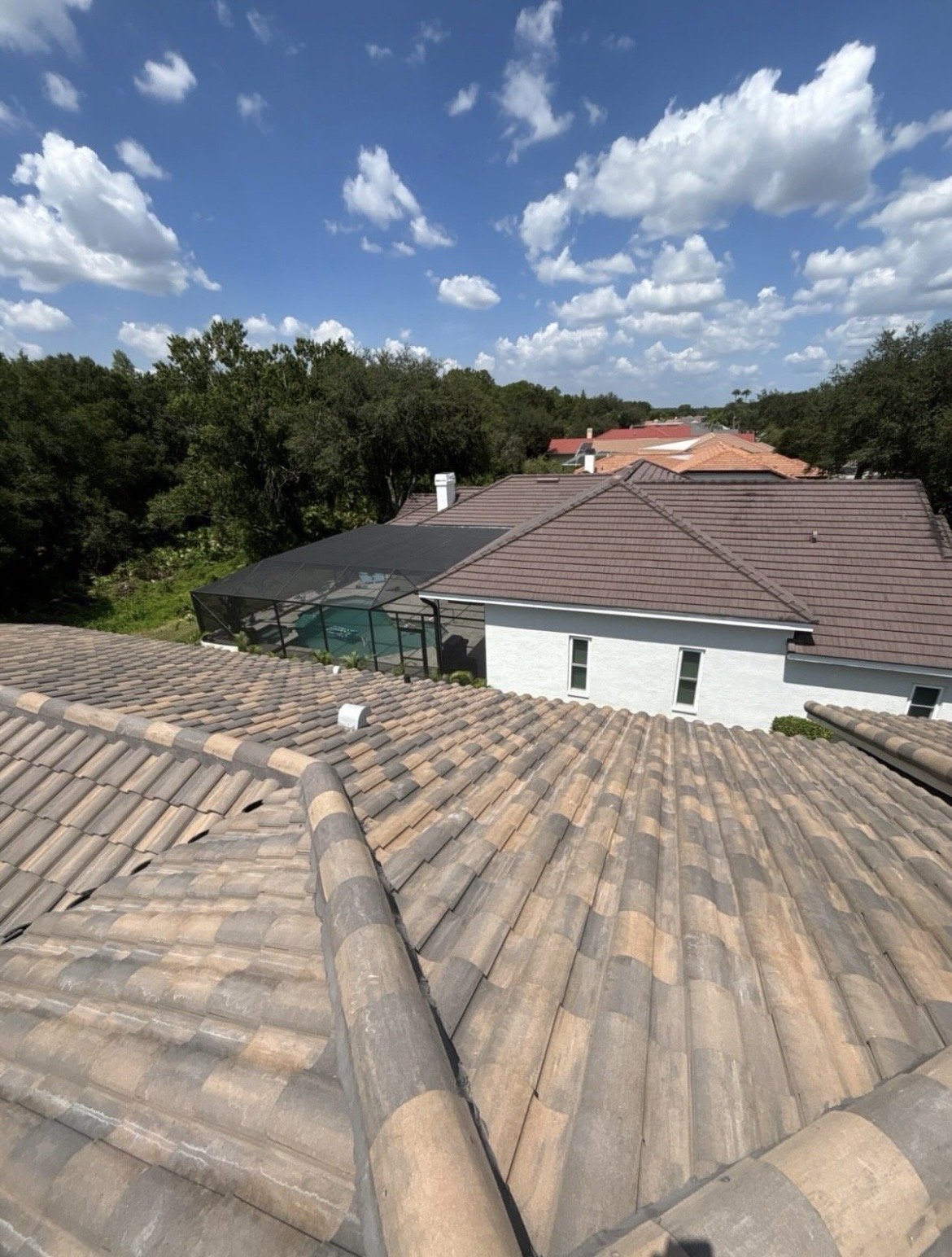 Pure Blue roof cleaning after service