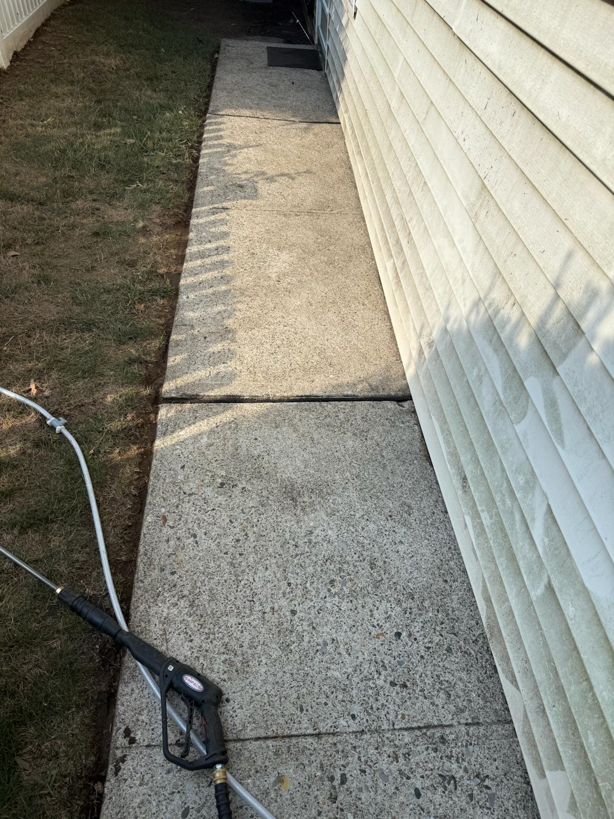 Exterior Cleaning - After