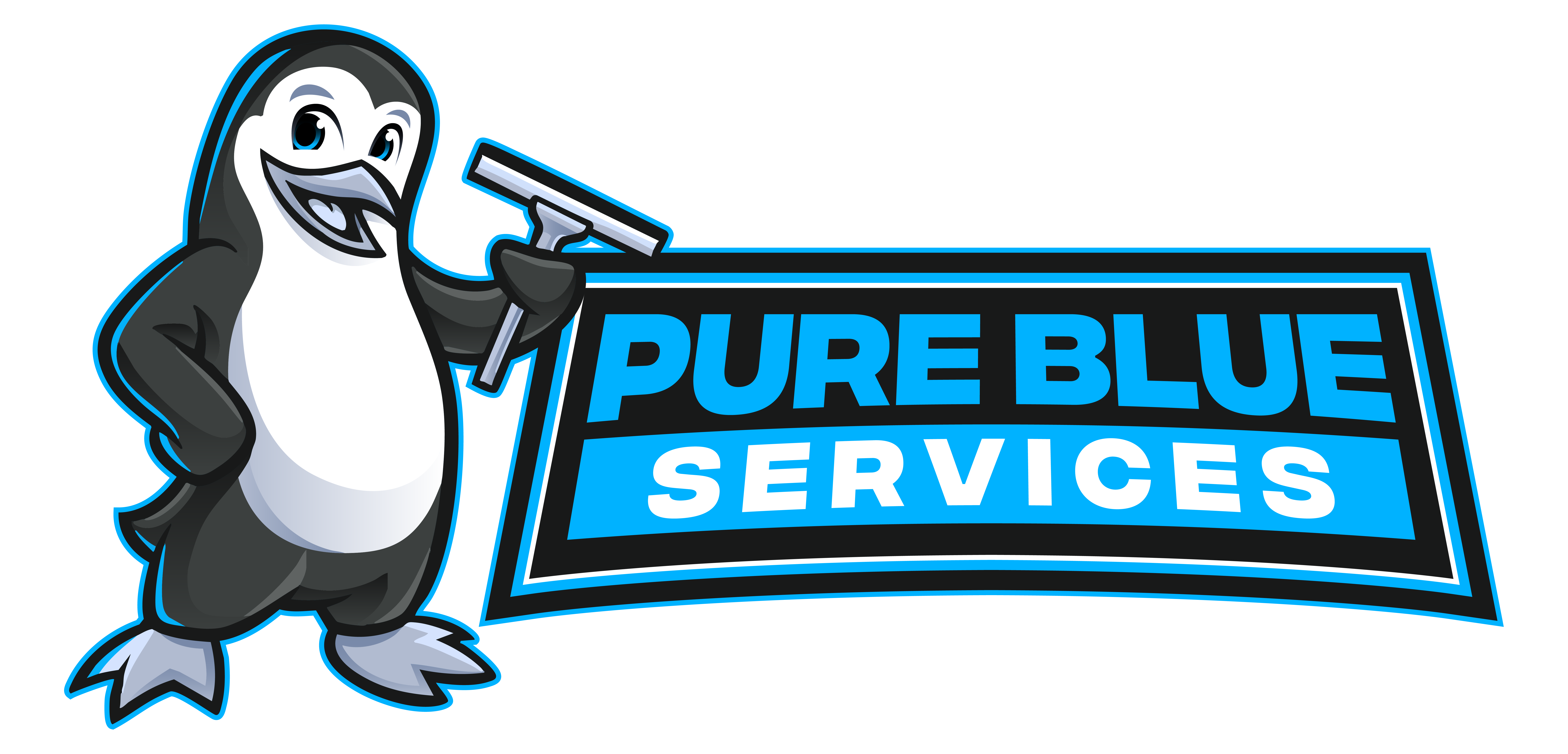 Pure Blue Services